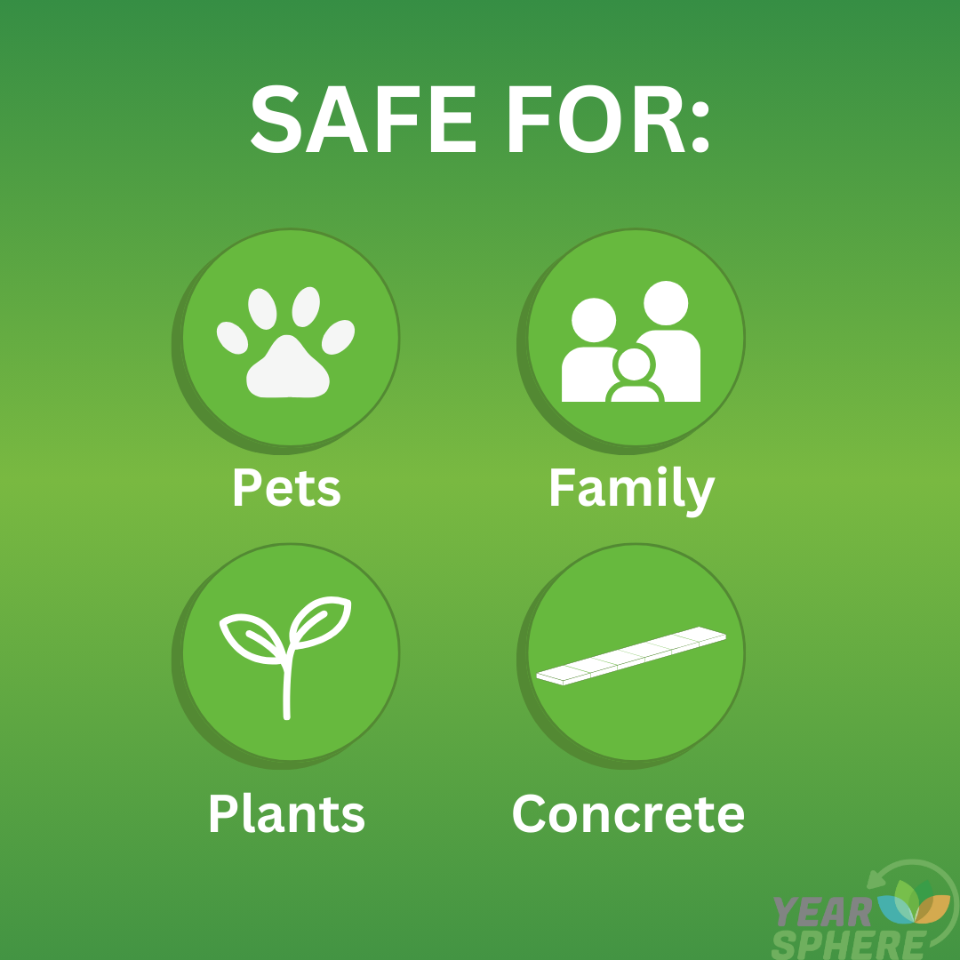 Online Product Listing Images.png